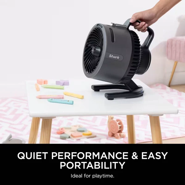 FlexBreeze HydroGo Misting Fan & Travel Bag