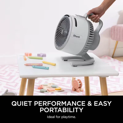 FlexBreeze HydroGo Misting Fan & Travel Bag