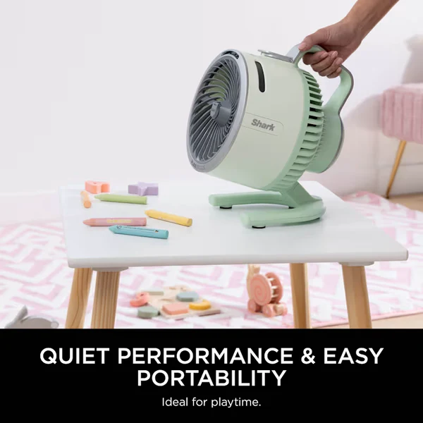 FlexBreeze HydroGo Misting Fan & Travel Bag